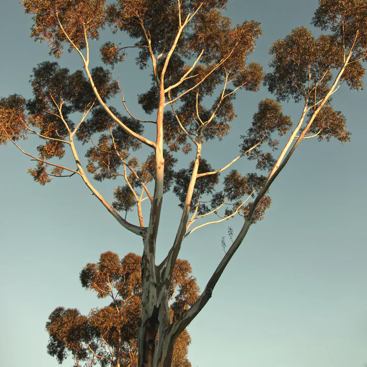 Porter's Paints Colours